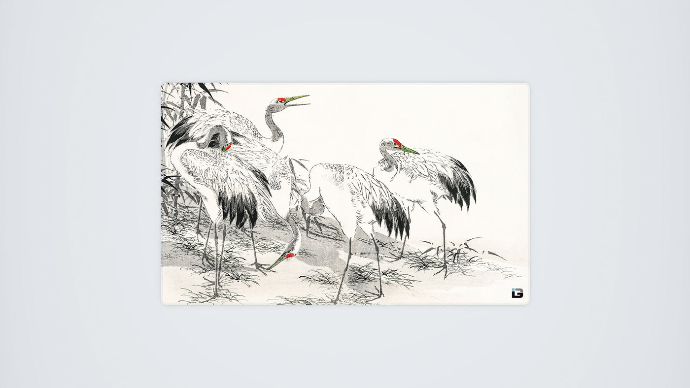 Cranes Bianchi